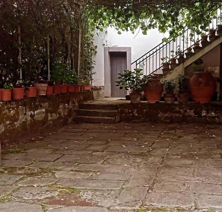 Albergo Del Ponte Сан-Пьеро-ин-Баньо Экстерьер фото